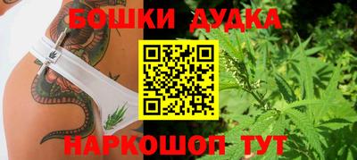 шишки Канаш