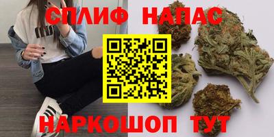 шишки Канаш