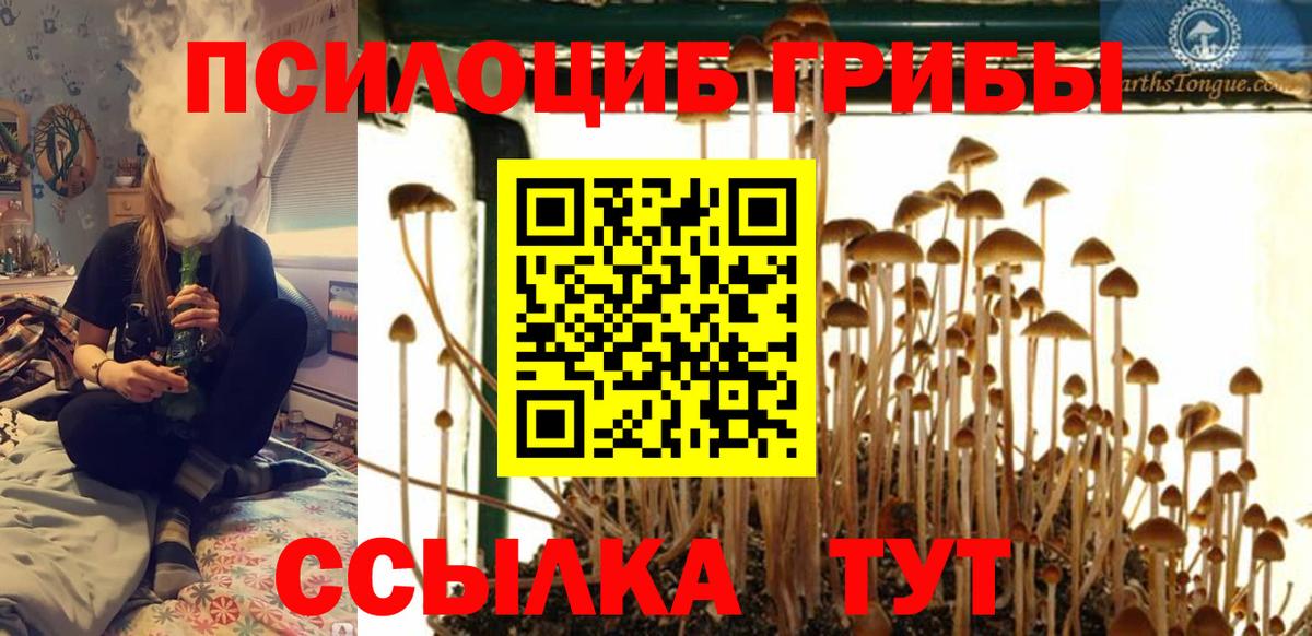Галлюциногенные грибы MAGIC MUSHROOMS  Вход с VPN  Галлюциногенные грибы Psilocybine cubensis  Кстово 