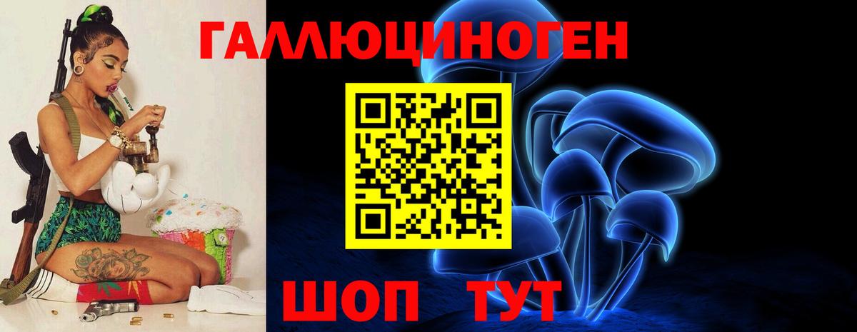Псилоцибиновые грибы мицелий Кстово